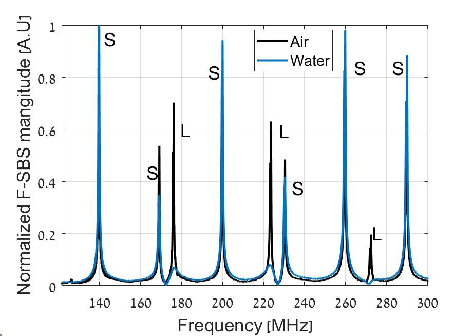 Paper on shear and dilatational waves in forward Brillouin sensing published in APL Photonics! Congratulations Alon, Elad, and team!